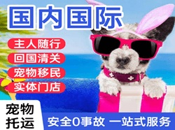 集宁航空物流国际宠物托运 【国